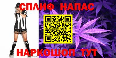 спиды Канаш