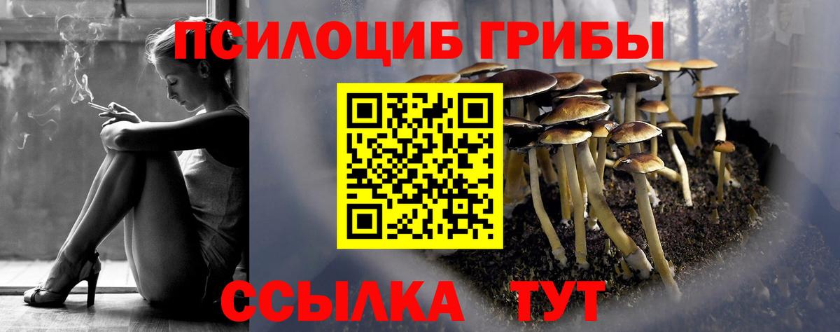наркотики  Псилоцибиновые грибы Psilocybine cubensis  Вход с VPN  Донской 
